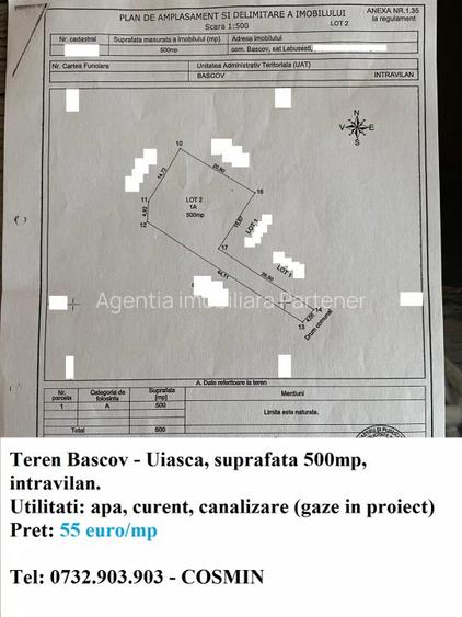 Teren Bascov, diverse suprafete - 7