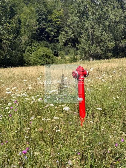Teren intravilan, cu PUZ aprobat, 500 mp - zona Maierus/Sat Vacanță