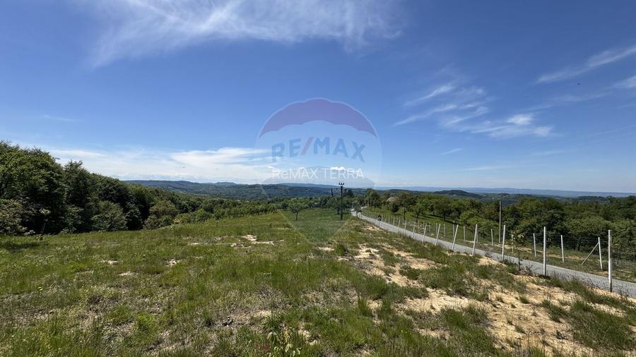 Teren intravilan de vanzare 55 600 mp Codru Butesii - 8