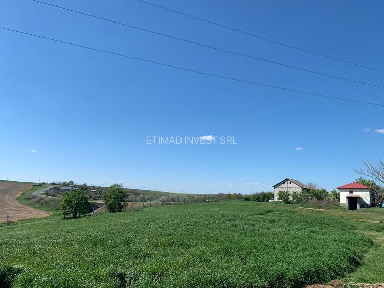 FERMĂ - PIETRENI - DN3 - UTILITĂȚI - 10.680 MP - 13