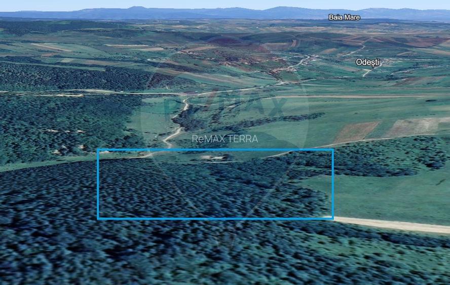 Pădure de vanzare cu zona de cabană Odesti - 3