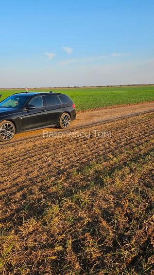 Teren Extravilan GIURGIU 16 Ha (la 50km de București) - 7