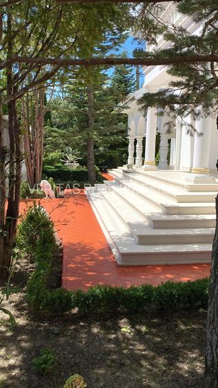 Eleganta clasica, vila cu prestanta si teren 1600 mp, 2 garaje, Otopeni Ferme - 2