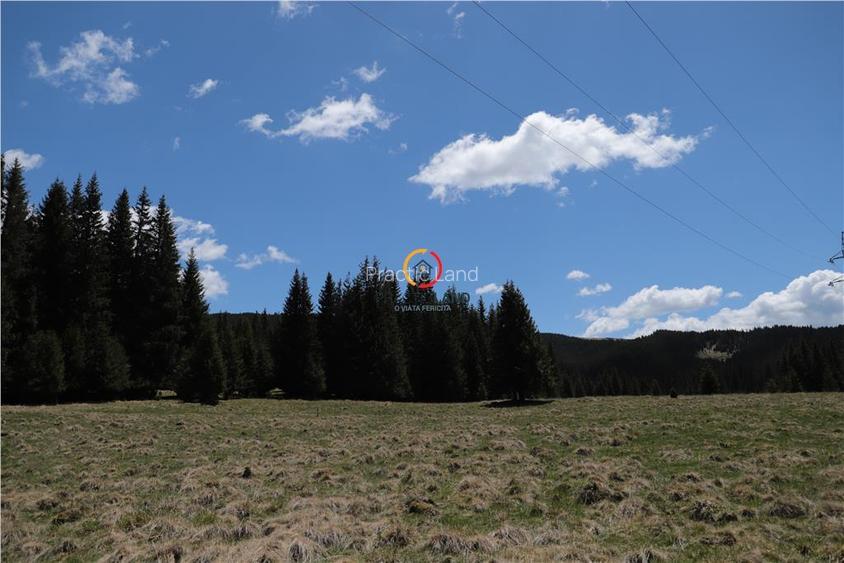 terenuri speciale Padina Busteni, sunt dispuse ca o veritabila coroana in jurul - 7