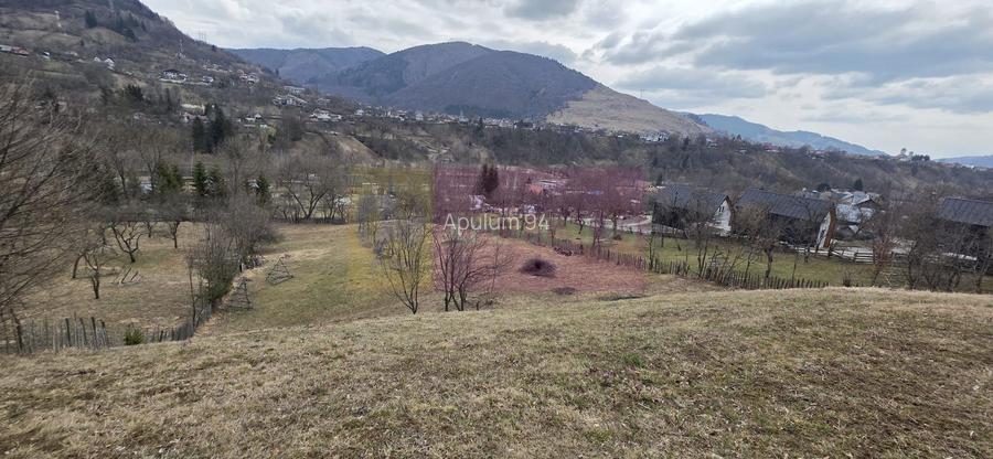 Teren intravilan de vanzare in Valea Doftanei - 3