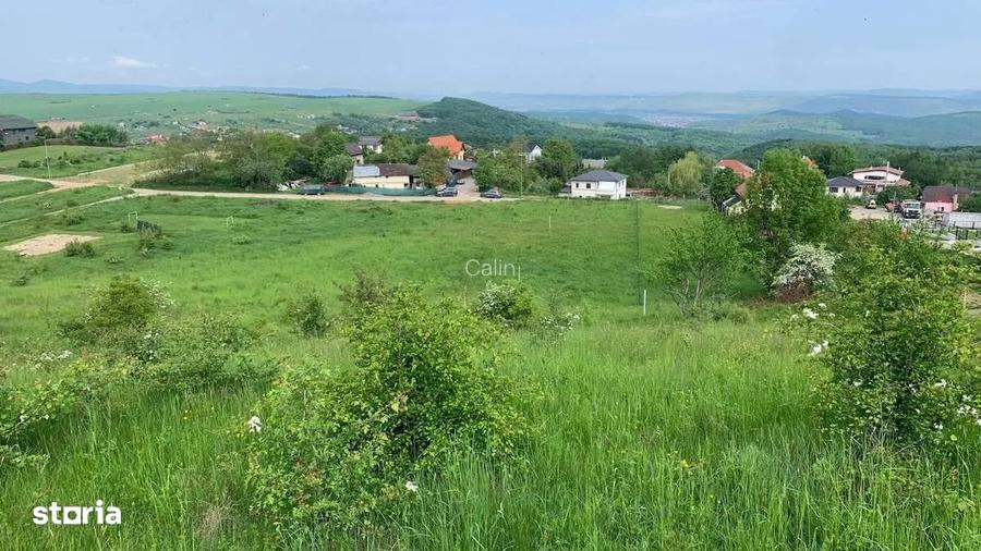 PF Vand Teren Intravilan Salicea - 100Euro/mp - 4