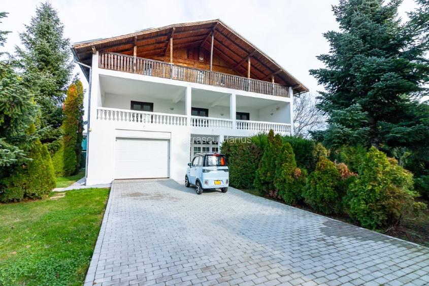 Vilă exclusivistă în Snagov - 13