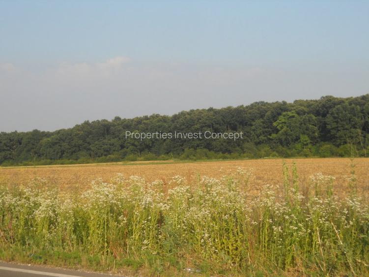 Loturi de casă în Samurcași - Pădurea Raioasă – zonă în plină Dezvoltare - 7