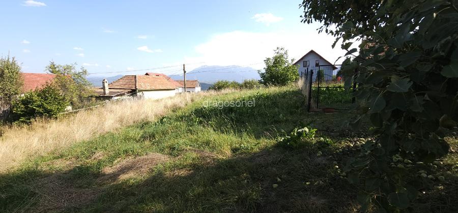 Teren pentru locuinta, casa de vacanta, pensiune, Zarnesti (zona Pleasa), PUZ, 2 - 2