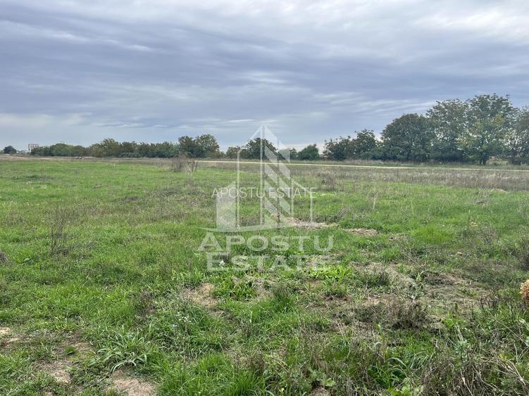 Teren 812 mp, de vanzare, PUZ aprobat P+2, Giroc - 2