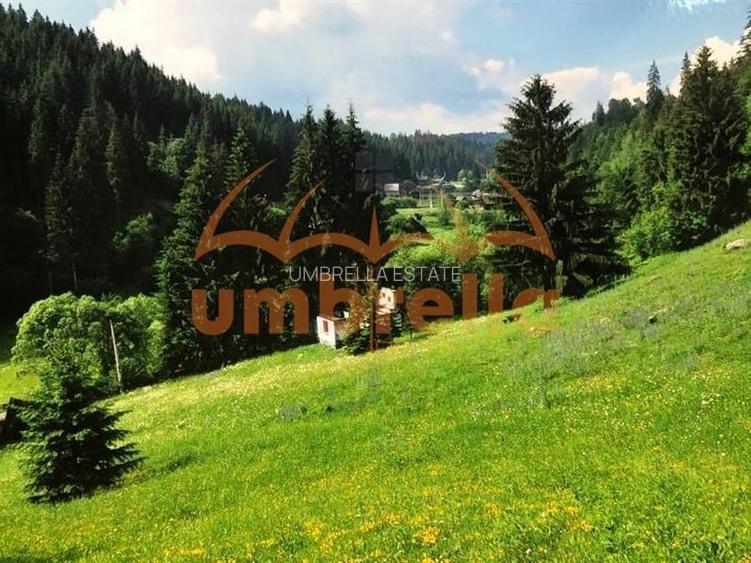 TEREN DE VANZARE 34.201m²/20€ m² IN VARSAG HARGHITA - 12