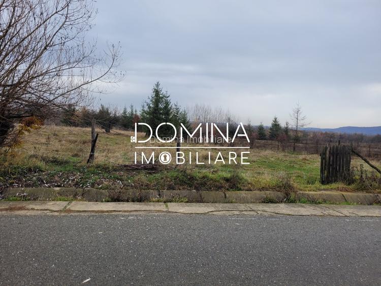 Vanzare teren 5000 mp, in comuna Crasna - sat Aninisul din Deal - 8