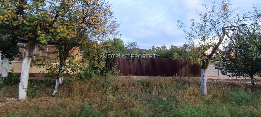 🏡  Casă de Poveste în Șiria, Arad- Locație Rară - 3