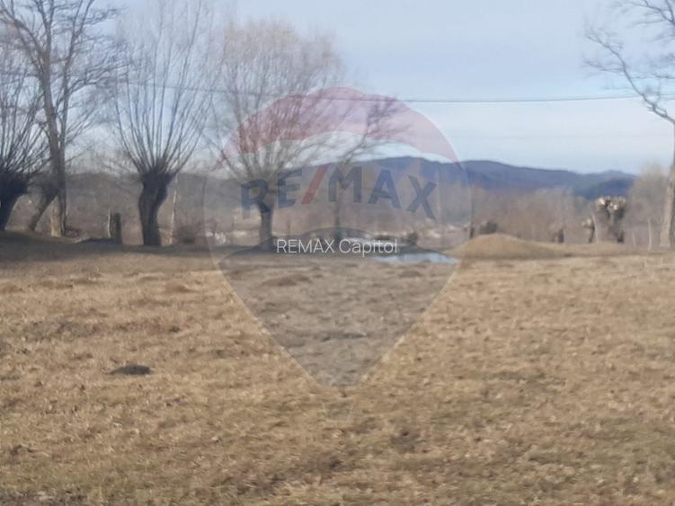 Teren 10,279 mp Bran- Predelut / Strada Pe Tarina nr. 70A - 4