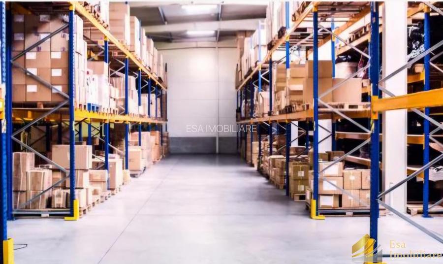 Hale de inchiriat: 275-450-550mp- Bragadiru - 4