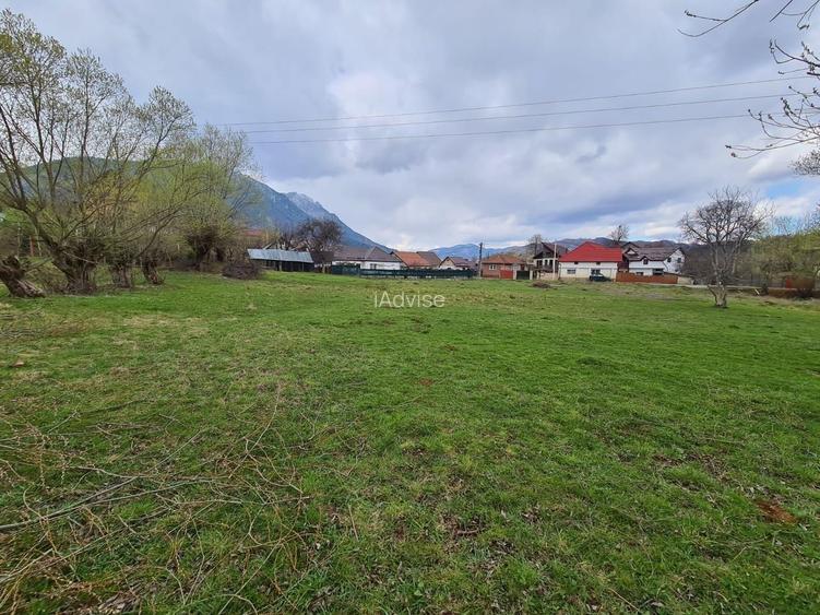 Teren Intravilan Tohanita - 2