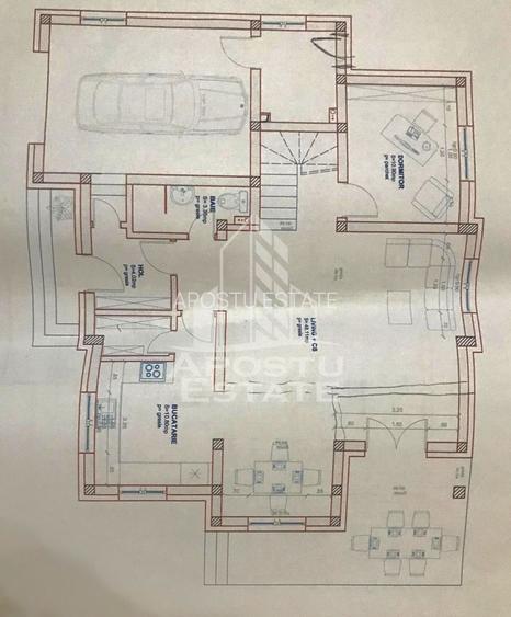 Casa individuala cu 5 camere,3 bai si garaj,Becicherecul Mic - 13