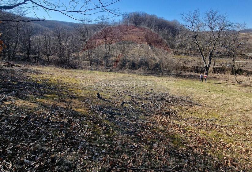 Teren de Vânzare în Pâncești (Sascut) - 9