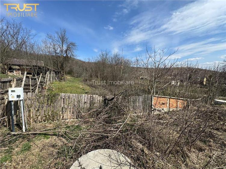 Teren Parcelabil I 11400 MP I Corpadea - 14
