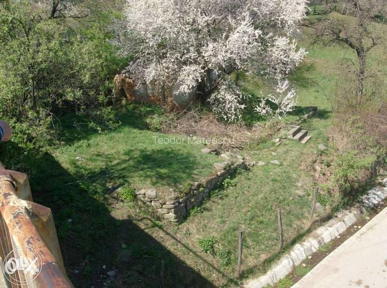 Vand Teren Intravilan Maneciu-Ungureni, Jud. Prahova - 4