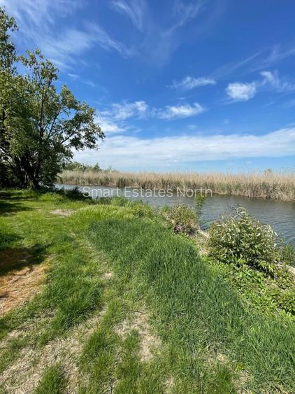 Teren 1000 MP d 24 m la lac | Snagov Gruiu | Pozitie excelenta - 4