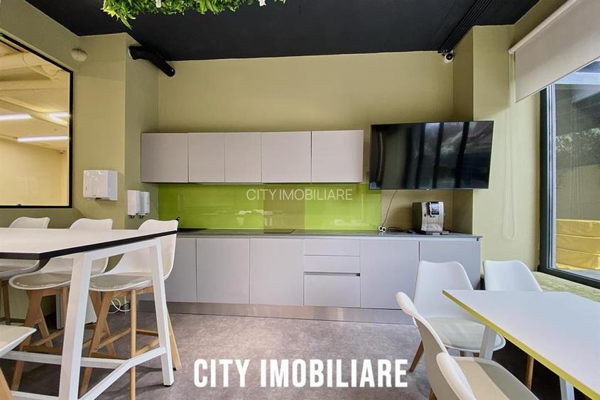 Spatiu comercial 250 mp + terasa 70 mp, Grigorescu, Parter, Ideal HoReCa   Showr - 6