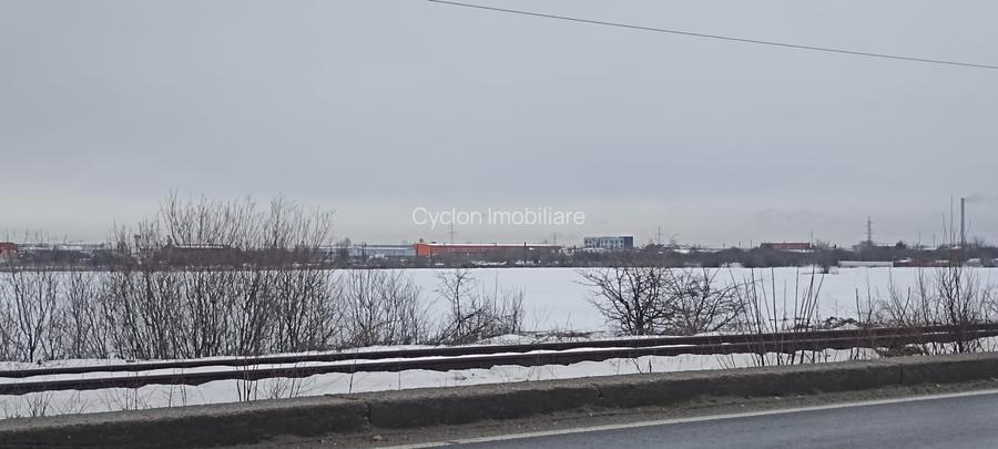 Vanzare teren intravilan 7500 mp/23ml Centura Magurele Ilfov - 5