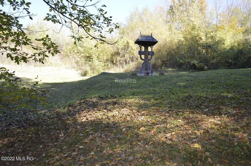 Topoloveni - Conacul Ion Mihalache, Domeniu pe 5 Hectare! - 16