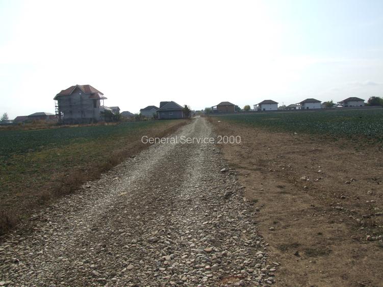 Domnesti-Afinului, teren  4394 mp - 4