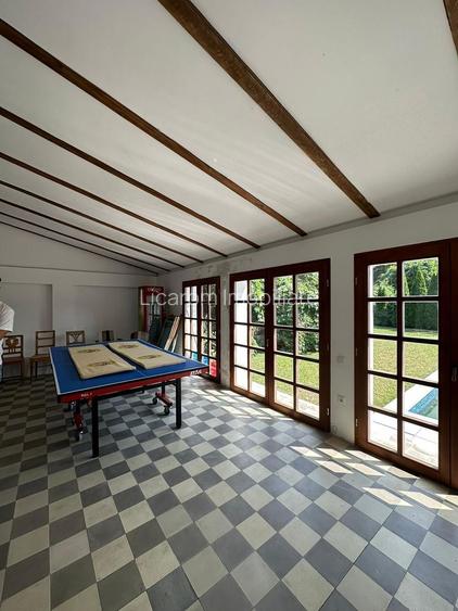 Casa saseasca CRISTIAN,amenajata LUX,pt turism,piscina,curte - 9