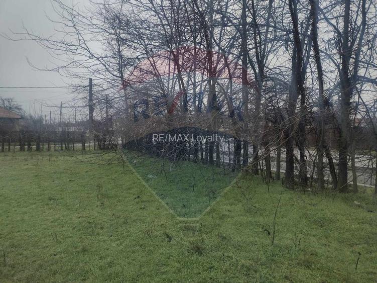 De vanzare teren intravilan Ialomita - 5