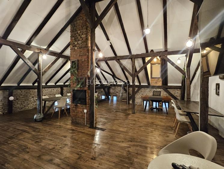 Vila cu arhitectura Cismigiu - 12