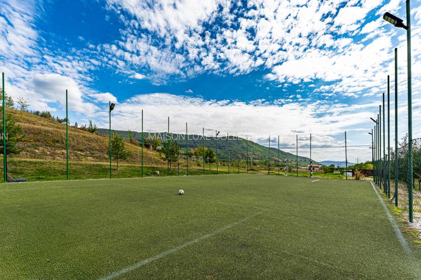 Com 0% Vilă turistică cu 8 camere +căsuțe A-frame, teren 5575 mp Călimănești VL - 4