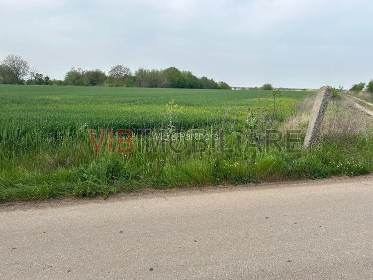 Comuna Dascalu - A0 - teren intravilan 9000 mp - 5