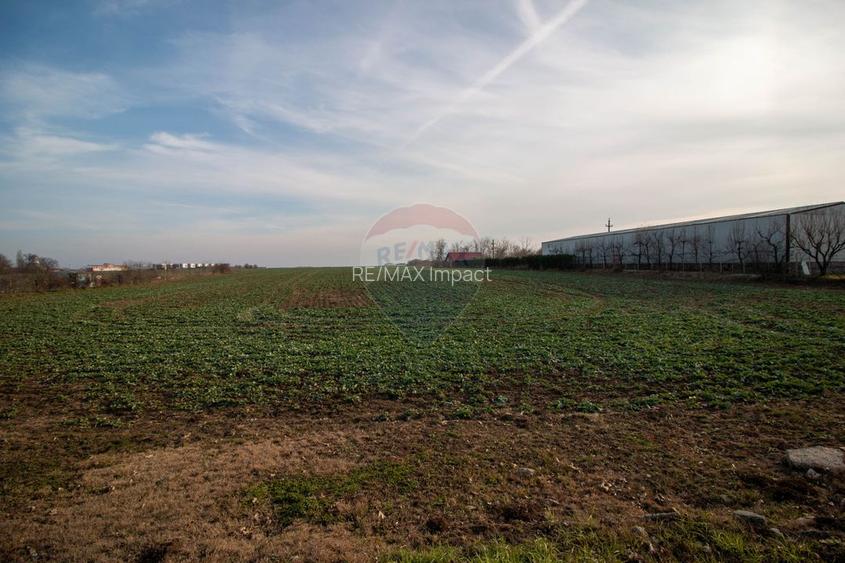 Teren Intravilan de vanzare 21000 mp Balotesti Central Soseaua Unirii - 10