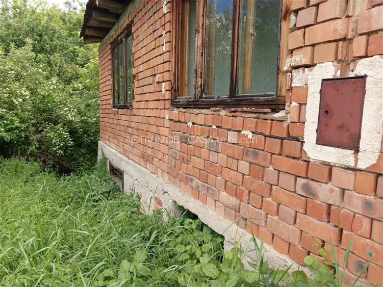 Borlovenii Noi, Teren Drept, 16000mp, la Limita Localitatii - 17