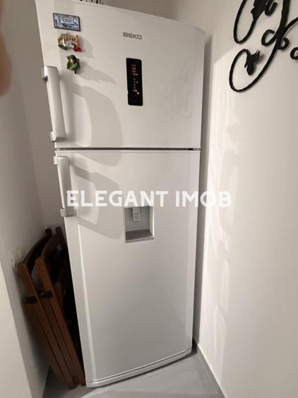 Inchirieri Apartamente 2 Camere Theodor Pallady