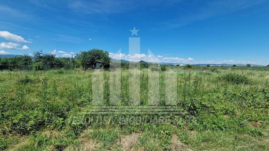 Teren intravilan | 480 mp | 20 ml deschidere | Partos