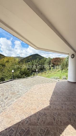 FIRIZA - VILA+ casa batraneasca si 29ari teren, panorama superba! - 29