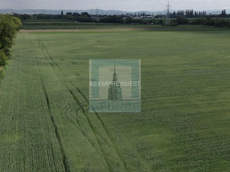 Teren intravilan 50000 mp, cu PUZ, Aprobat - zona Halchiu/Codlea - 7