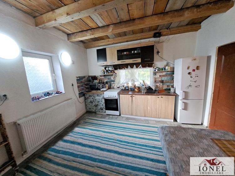 Vanzare casa cu 19.549 mp teren in Vintu de Jos - Valea Vintului - 3