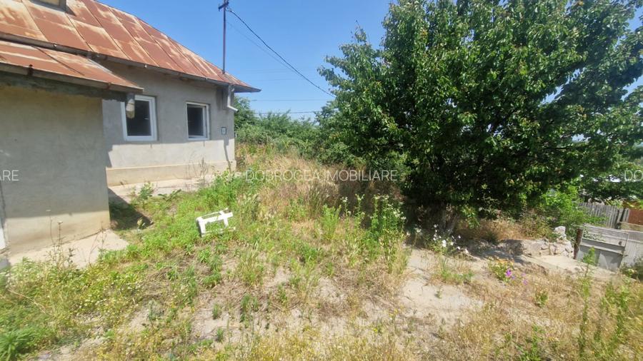  MAHMUDIA-TERENURI SI CASE - 7