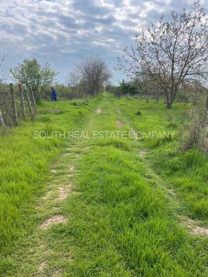 TEREN INTRAVILAN-500 MP-VIILOR-FAGULUI - 2