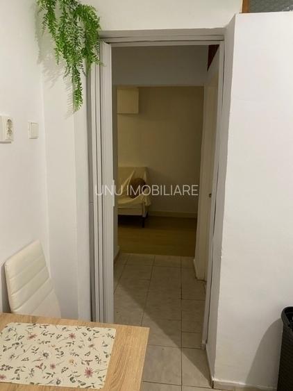 Apartament 1 camera zona Copou - 8