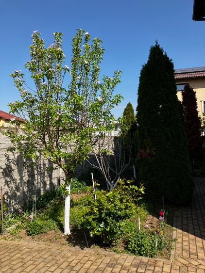 Proprietar închiriez apartament 3 camere - 8
