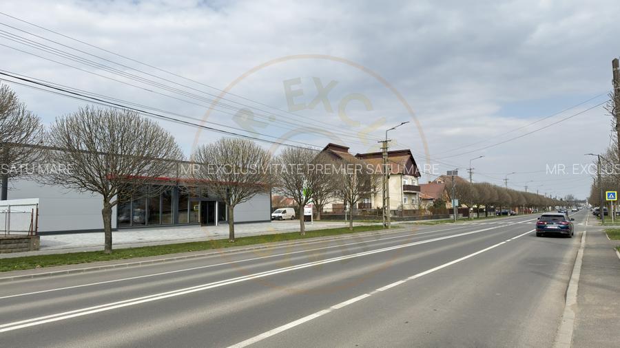 Spațiu Comercial Open Space 296 mp / B-dul 25 Octombrie / Carei - 10