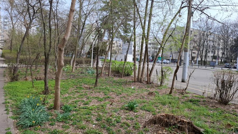 Drumul Taberei - Valea Argesului, LIBERA, comision cumparator 0% - 13