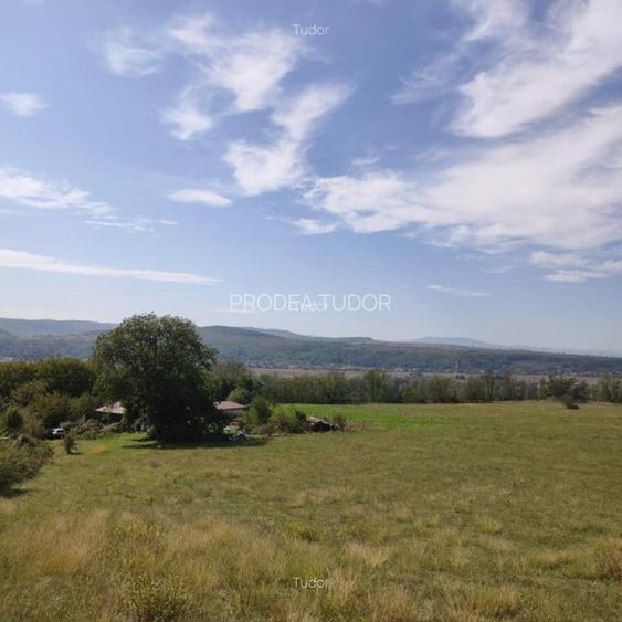 Pădure 268 ha in jud. Bacau, teren, constructii - 4