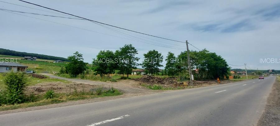 De vanzare teren pretabil ptr constructie pensiune - 3