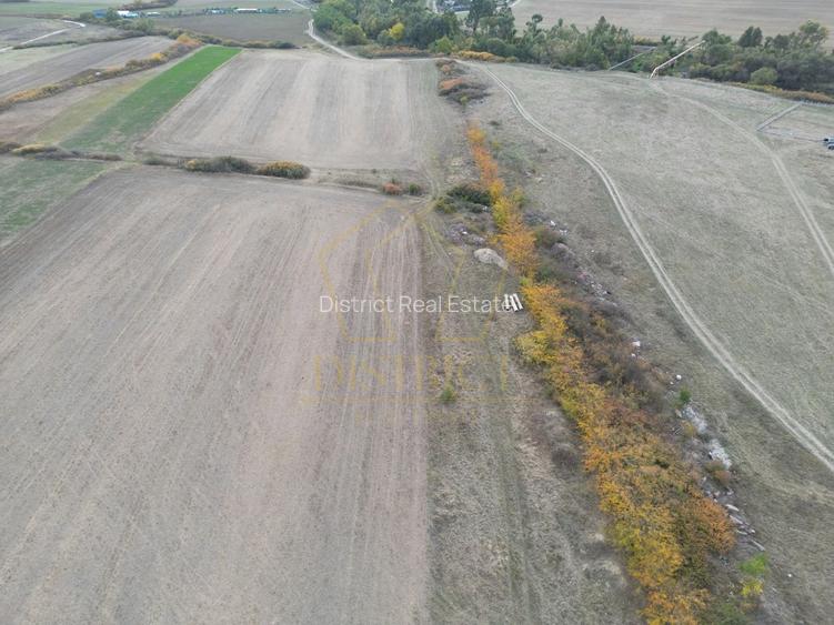 Teren arabil Intravilan 11600mp | LmP | Remetea Mare | COM 0% - 4